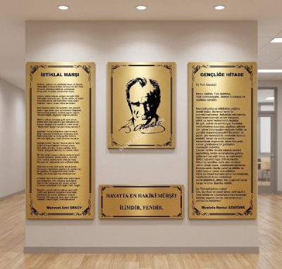 Atat�rk K��eleri pirin� g�r�n�ml� ekonomik kaplama model